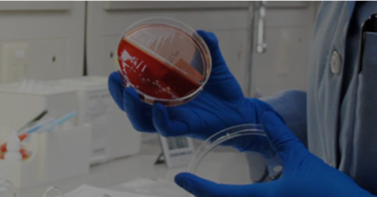 ICMR New Delhi Recruitment various posts