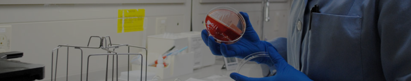 Assistant Professor Jobs